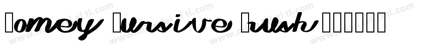 Homey Cursive Brush字体转换